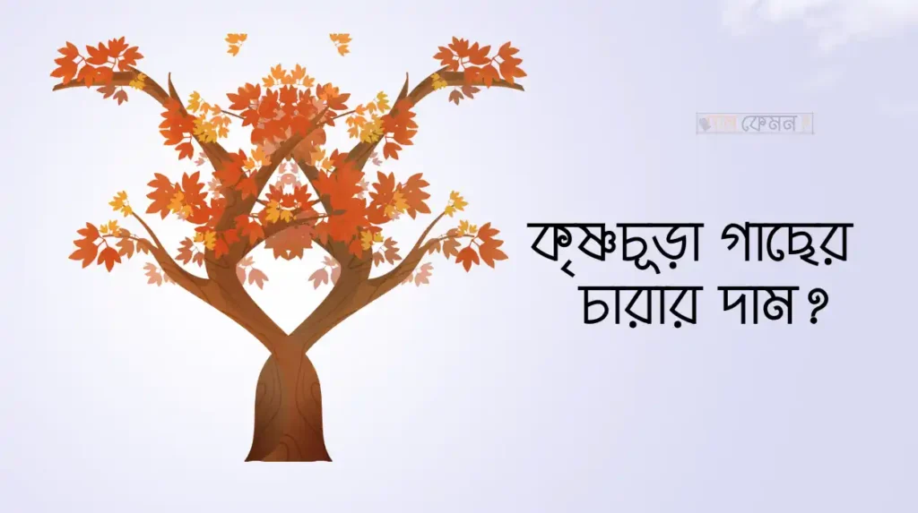 কৃষ্ণচূড়া গাছের চারার দাম