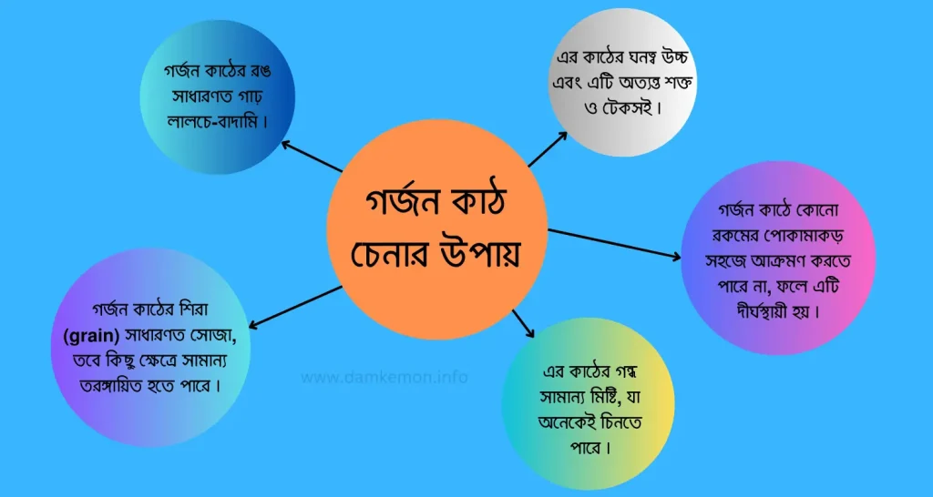 গর্জন কাঠ চেনার উপায়