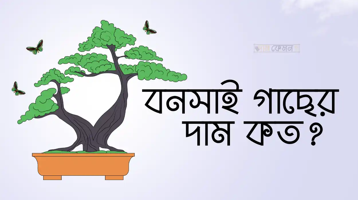 বনসাই গাছের দাম