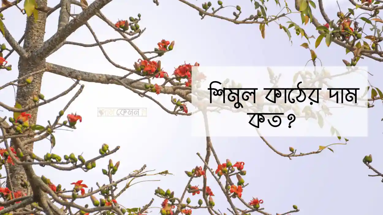 শিমুল কাঠের দাম