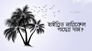 হাইব্রিড নারিকেল গাছের দাম