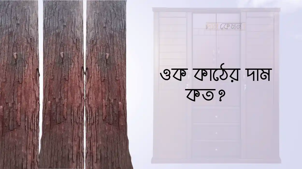 ওক কাঠের দাম