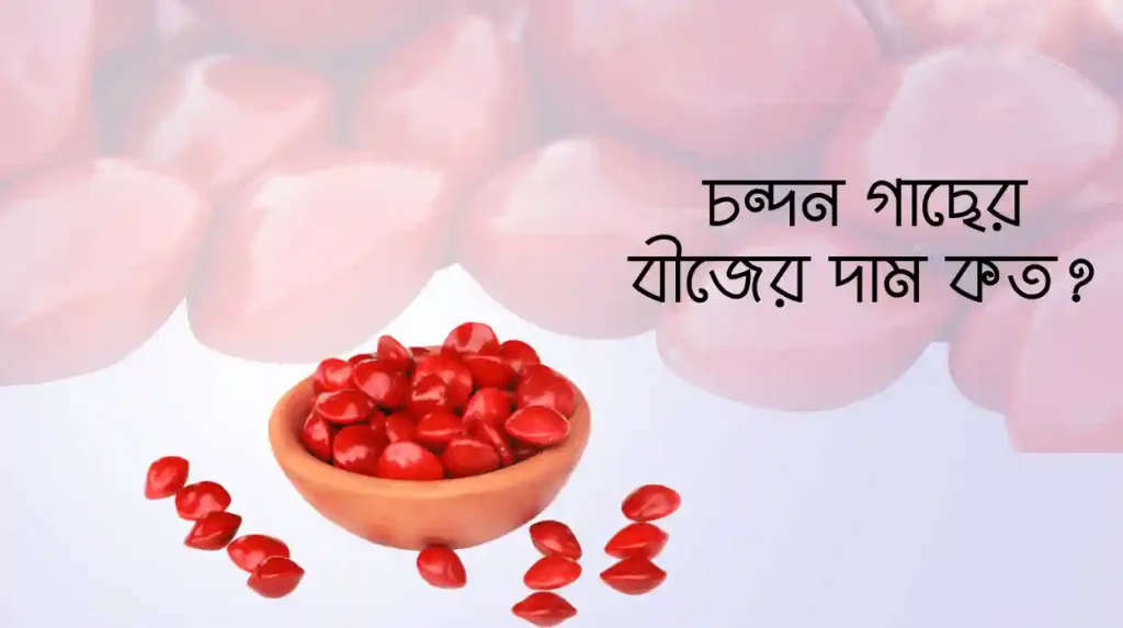 চন্দন গাছের বীজের দাম