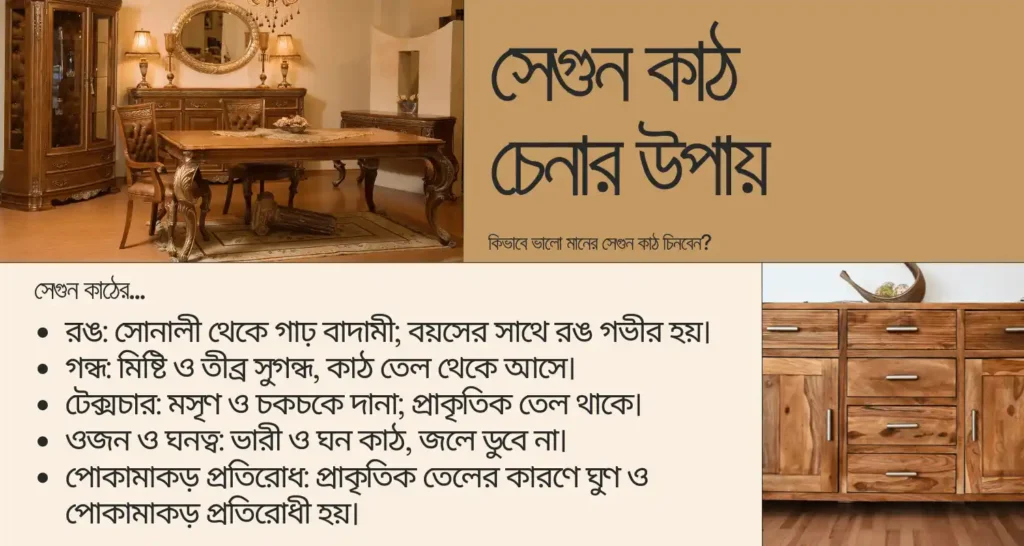 সেগুন কাঠ চেনার উপায়