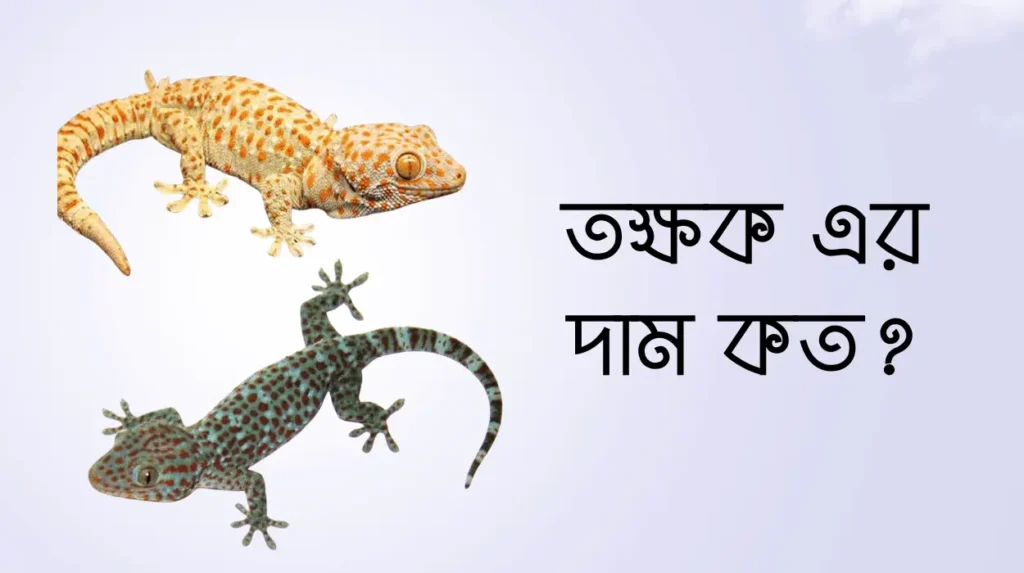 তক্ষক এর দাম