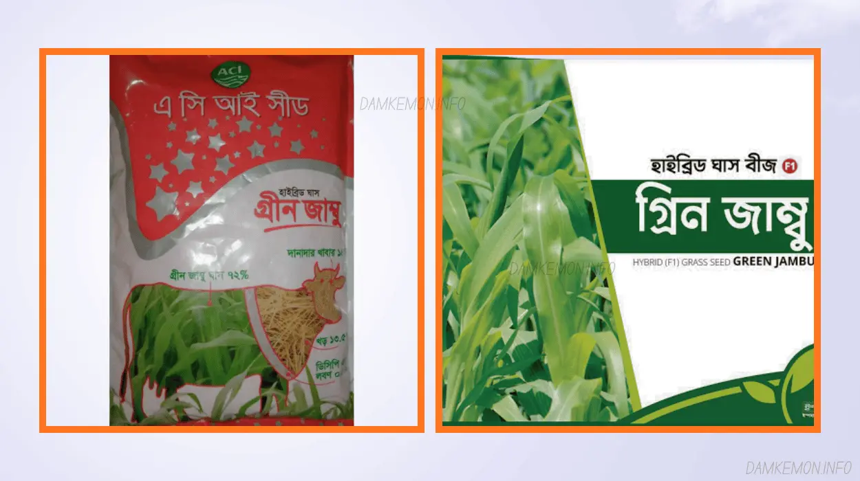 জাম্বু ঘাসের বীজের দাম